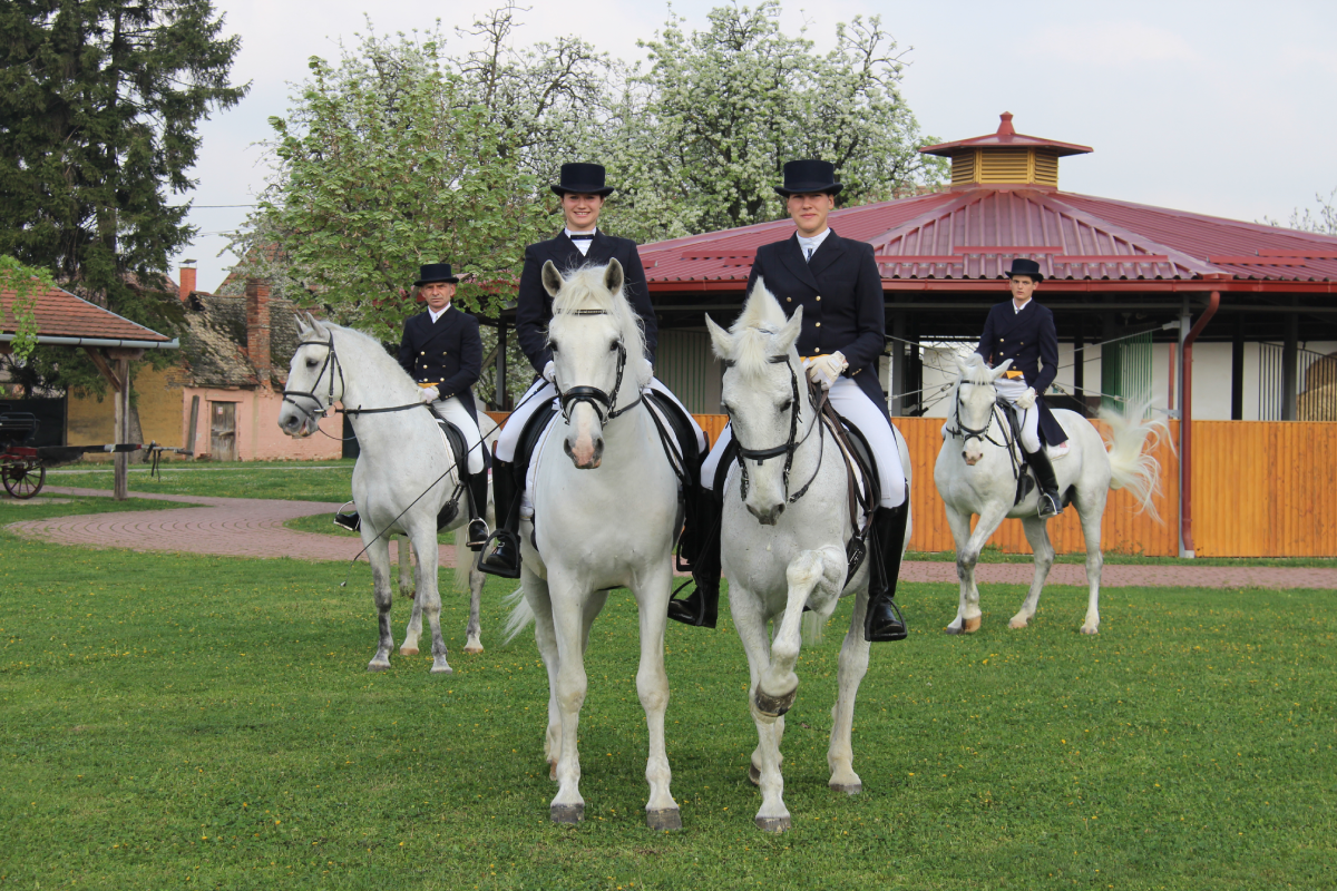 Jedan od najvažnijih i najtrajnijih simbola Đakova i Đakovštine su konji, čiji organizirani uzgoj traje već više od pet stoljeća u znamenitoj đakovačkoj ergeli...
