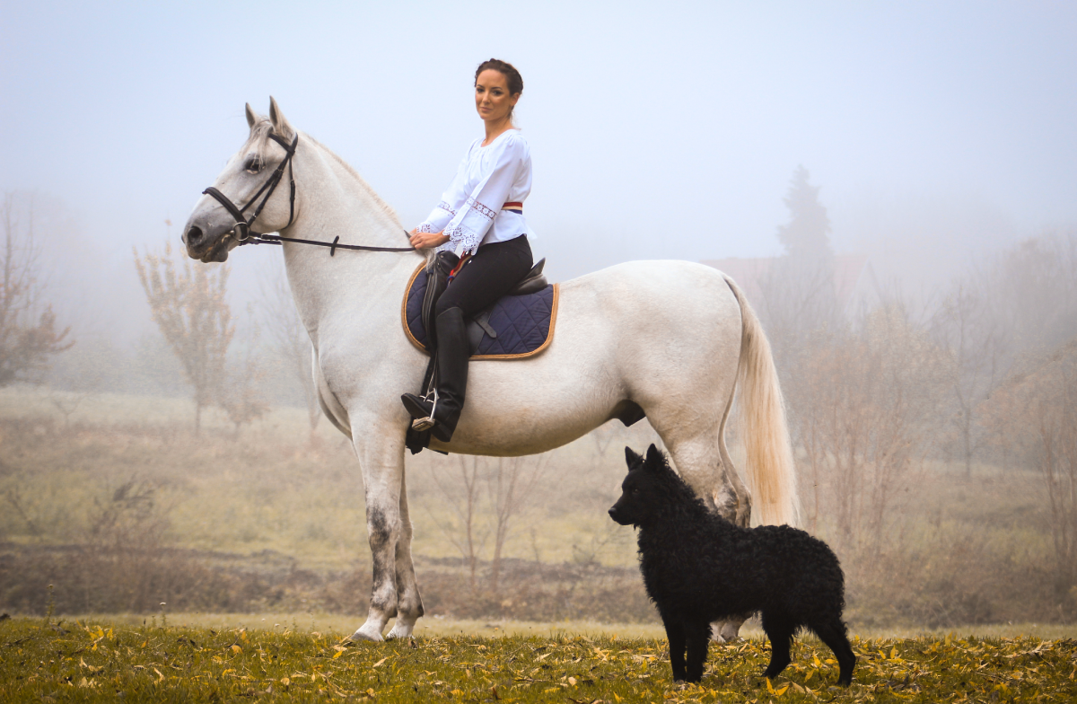 Breeding of the Croatian Shepherd