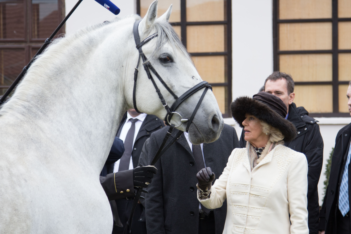 Posjet britanske kraljice i vojvotkinje