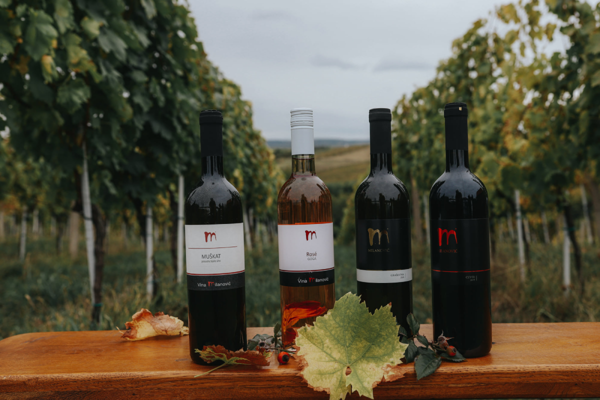 Vinsko - turističke ceste đakovačkog vinogorja